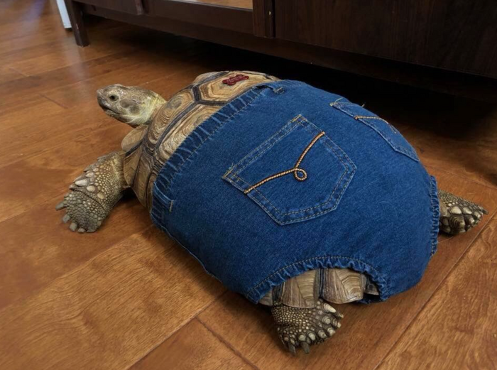 🖼