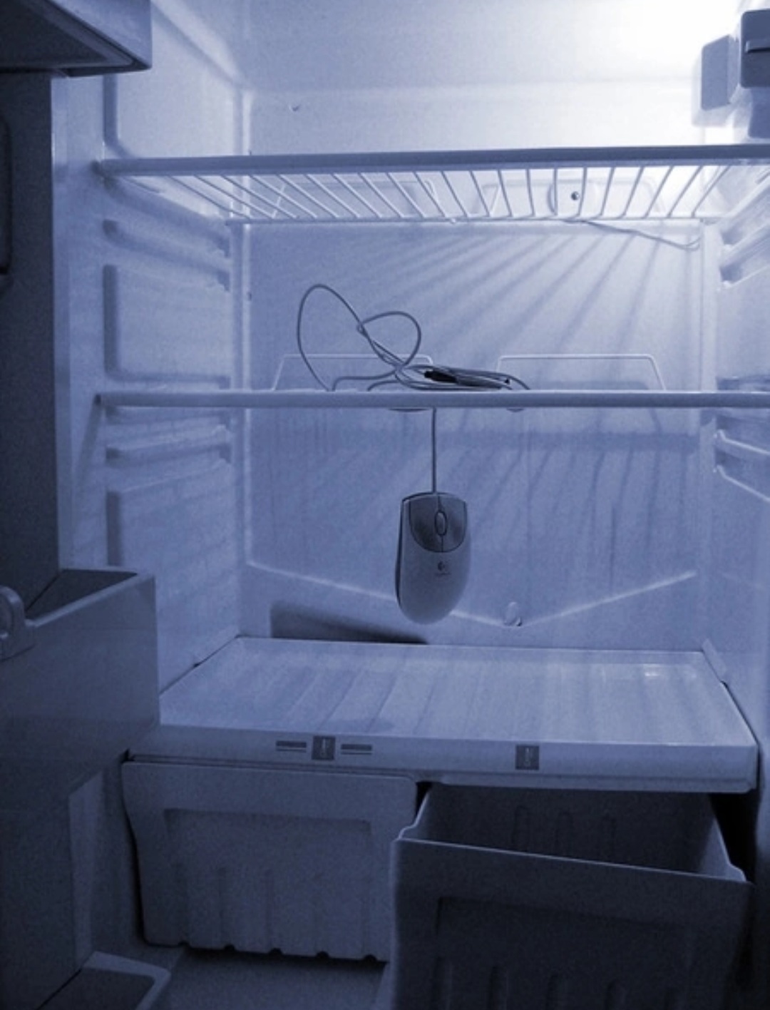 Холодильник пустой все заметили фото