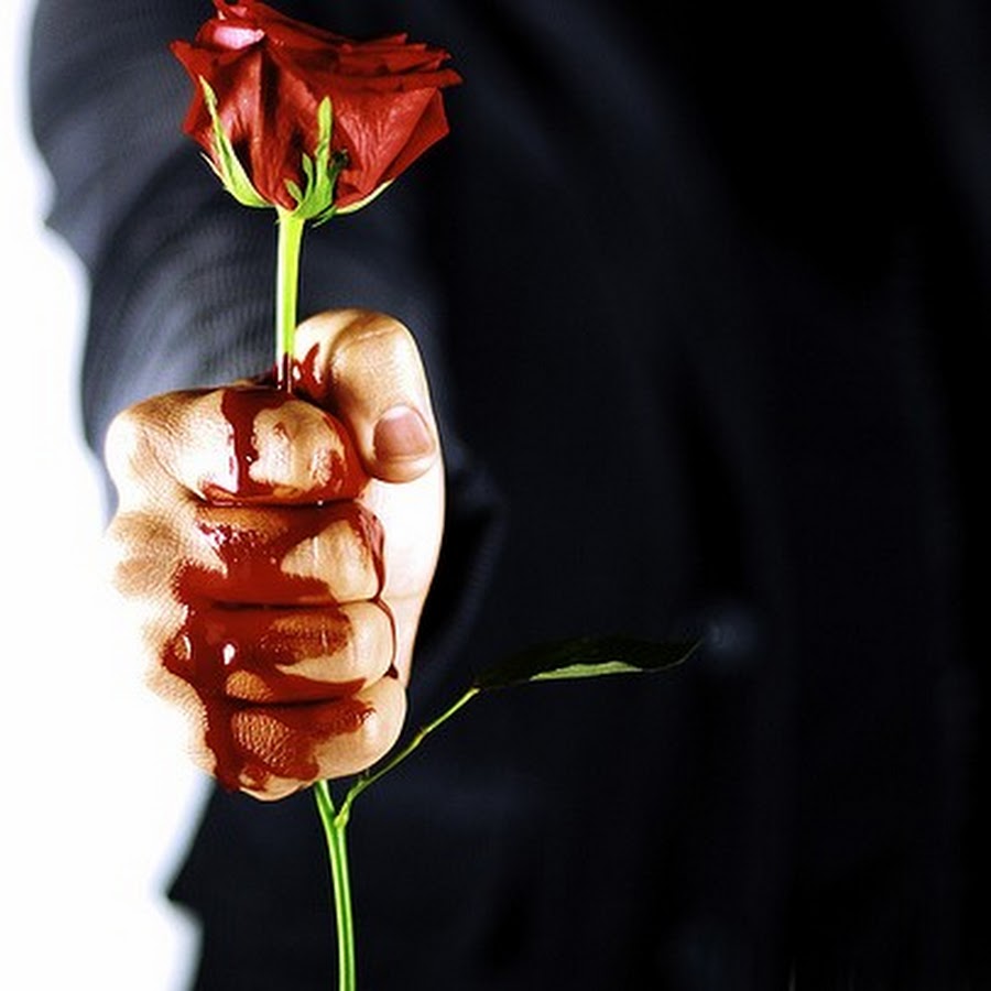 Рука в крови держит розу