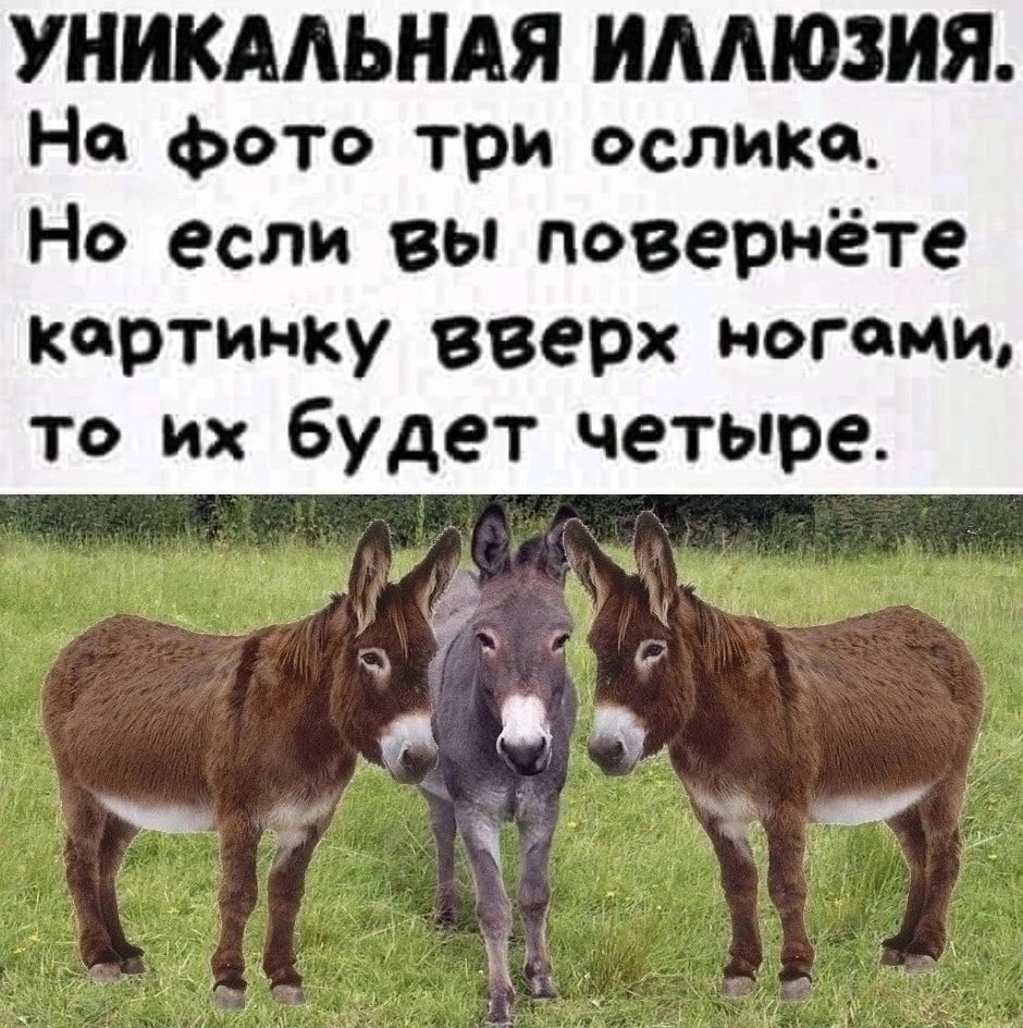 1673926486.531462233.img5f4c5e7ed86d8fa6