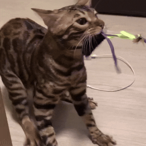 Картинка загружается...