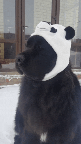 Картинка загружается...