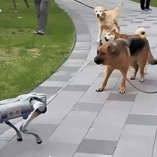 Картинка загружается...