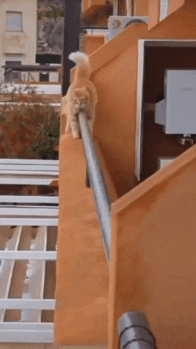 Картинка загружается...