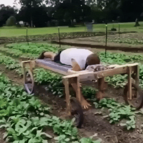 Картинка загружается...