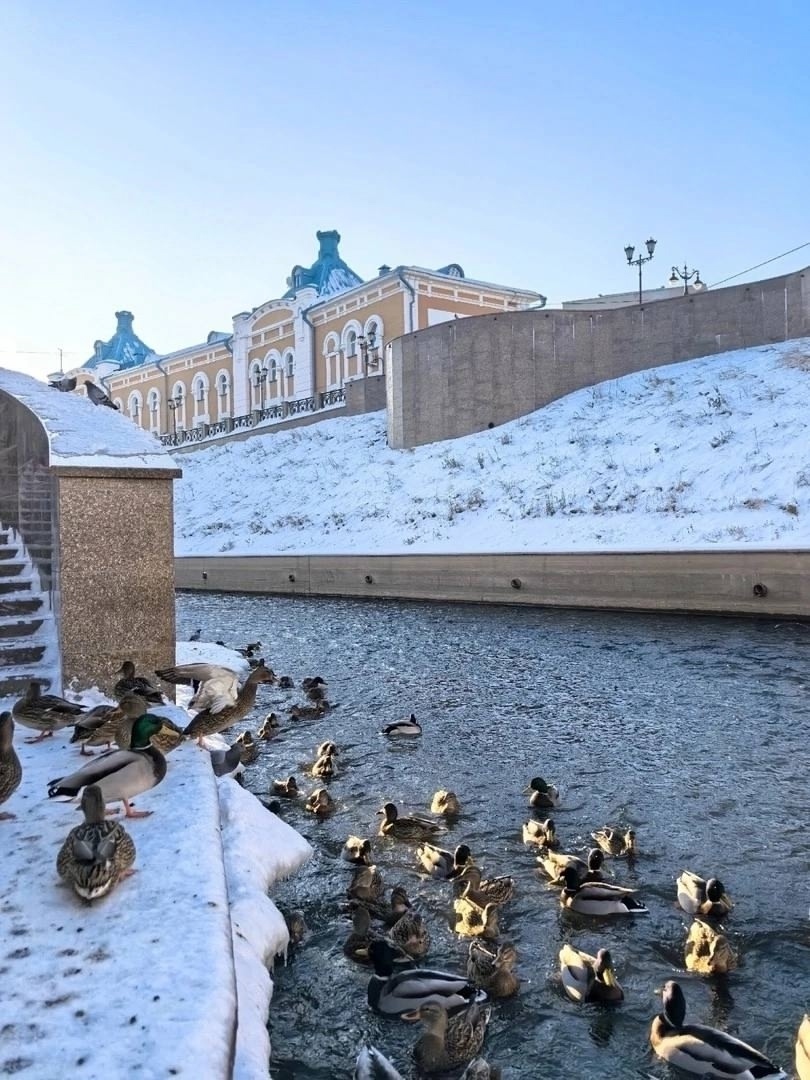 Картинка загружается...