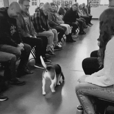 Картинка загружается...