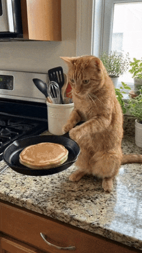 Картинка загружается...