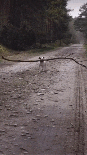 Картинка загружается...