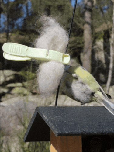 Картинка загружается...