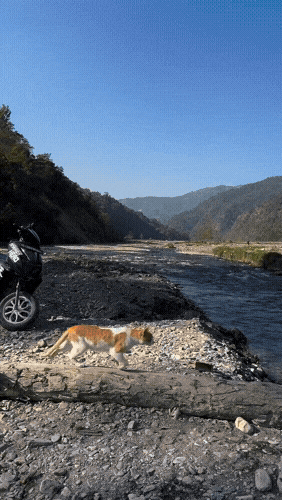 Картинка загружается...