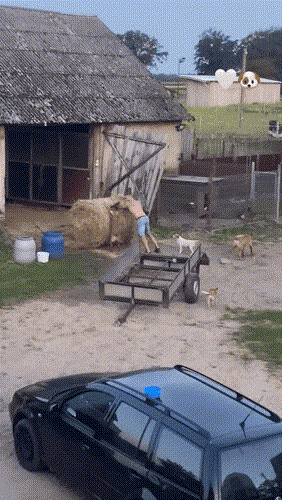 Картинка загружается...